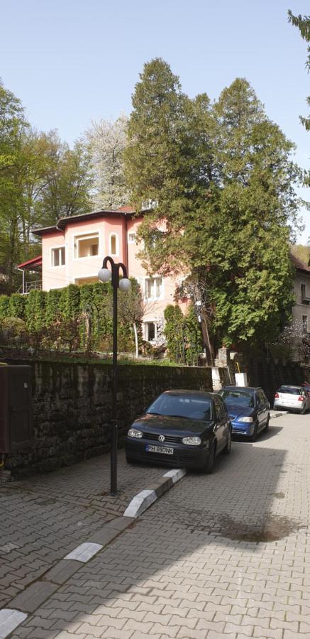 Hotel Casa Rosa à Băile Olăneşti Extérieur photo