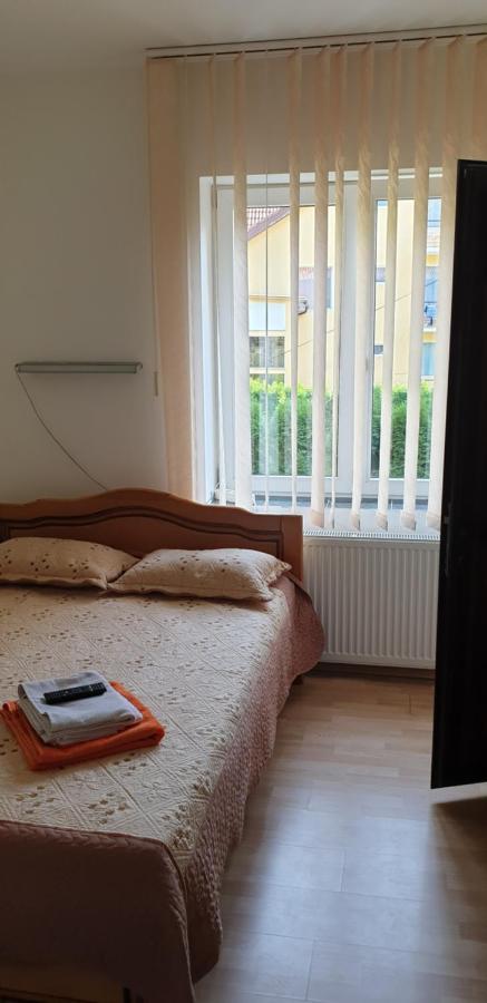 Hotel Casa Rosa à Băile Olăneşti Extérieur photo
