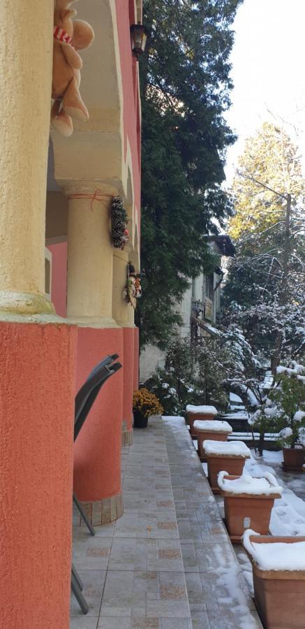 Hotel Casa Rosa à Băile Olăneşti Extérieur photo