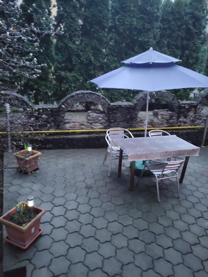 Hotel Casa Rosa à Băile Olăneşti Extérieur photo