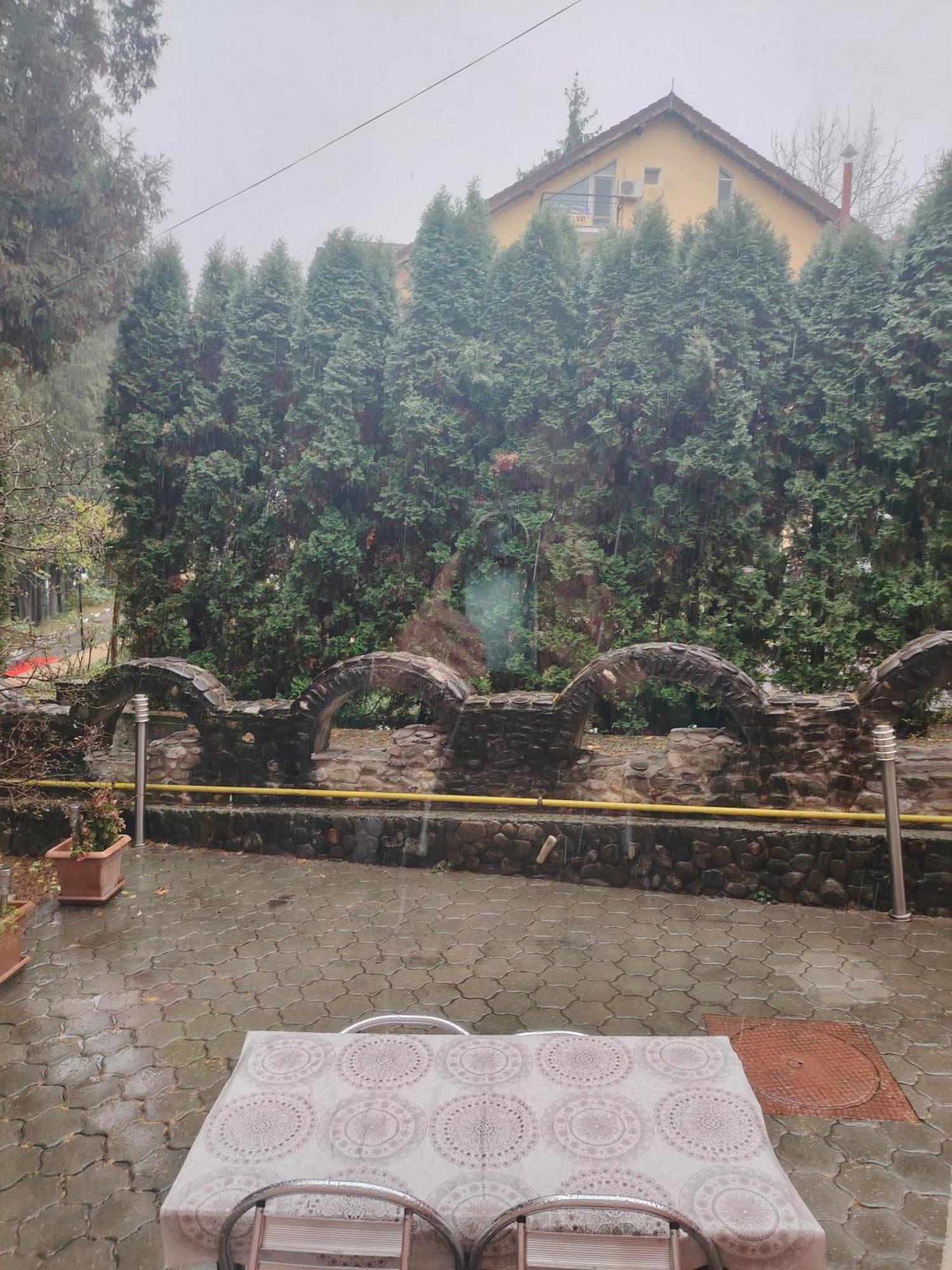 Hotel Casa Rosa à Băile Olăneşti Extérieur photo